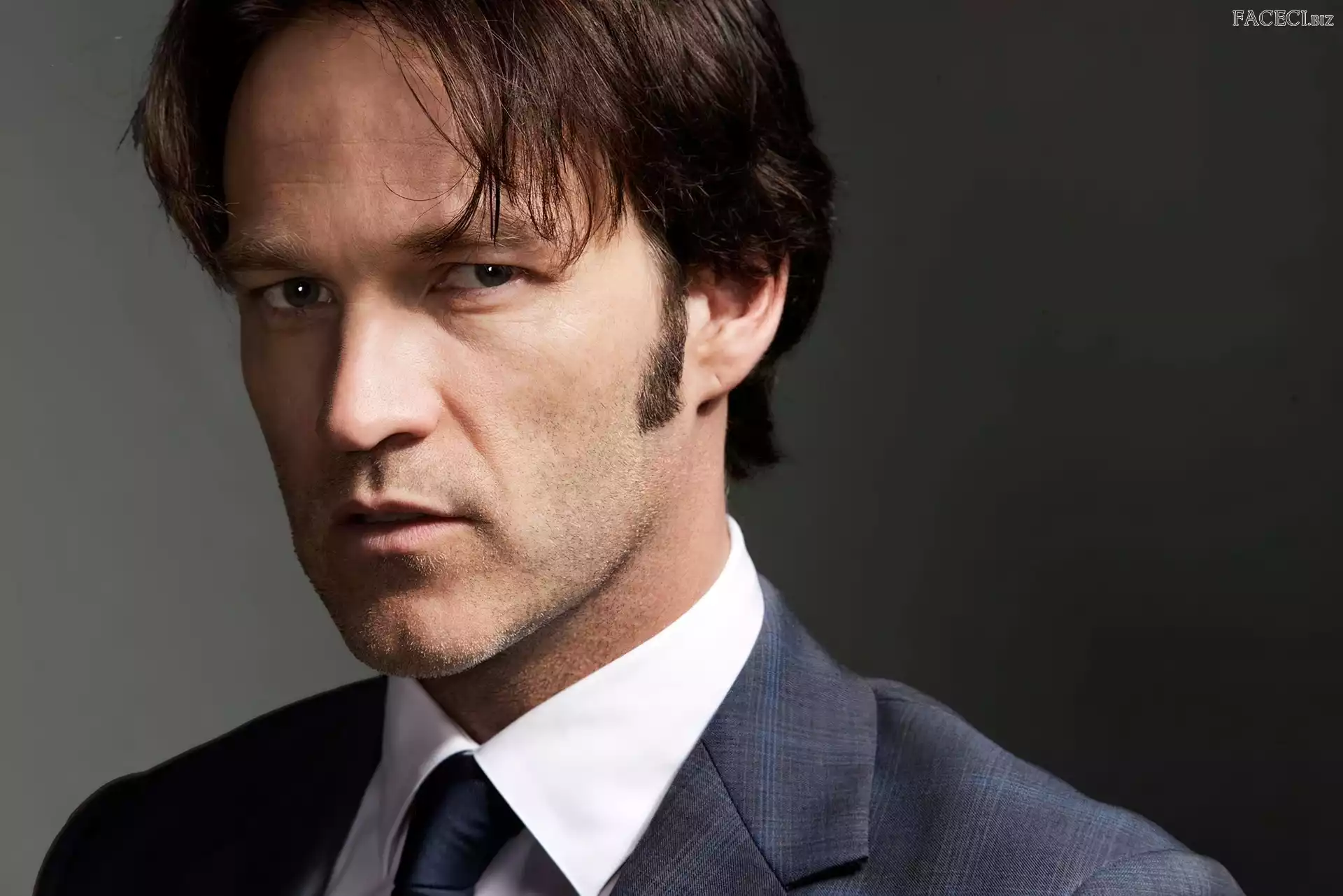 True Blood, Stephen Moyer